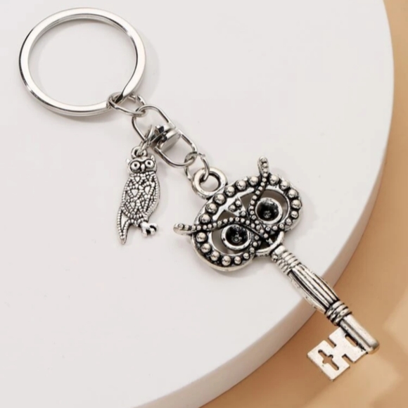 UNIQUE AND BEAUTIFUL OWL MASTER KEY KEYCHAIN OR PURSE CHARM - Picture 1 of 3